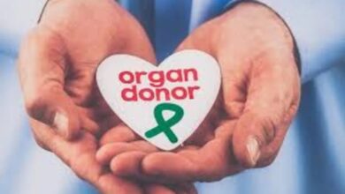 www.theindiaprint.com all you need to know about government employees getting a 42 day leave for organ donation rvlsgu8x3wb34rvk3paw 11zon