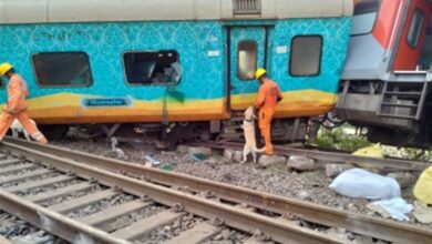 www.theindiaprint.com odisha train accident 35 of the dead were from bihar article212141