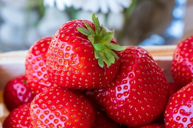 www.theindiaprint.com the top 5 amazing health benefits of strawberries strawberries 4255932 1920