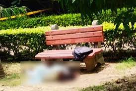 theindiaprint.com delhi a kamala nehru college student was discovered dead in a park in south delhi with head injuries download 32
