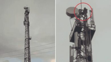 www.theindiaprint.com a guy ascends a 100 foot mobile tower and demands to wed the woman of his choice maharashtra man climbs tower twitter 770x435 11zon