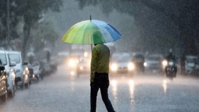 www.theindiaprint.com rain alert in the up uttarakhand and himachal relief is anticipated in punjab and haryana details maharashtra rain 11zon