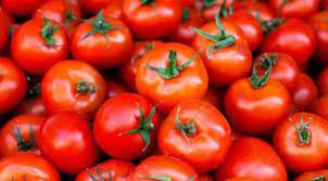 www.theindiaprint.com when will indias tomato prices stabilize expert offers opinion download 2023 07 19t181359.306