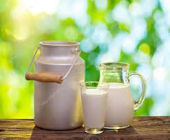 theindiaprint.com discover the top health benefits of raw milk natures powerful remedy images 2023 0