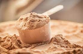 theindiaprint.com does protein powder matter expert advice disclosed download 2023 09 27t080118.203