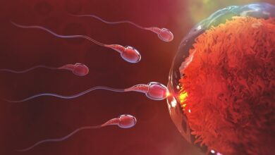 theindiaprint.com foods to avoid for a healthier sperm count when increasing male fertility womens h