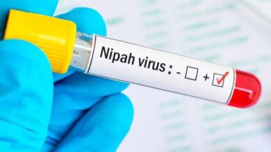 theindiaprint.com kerala reports one additional nipah virus case bringing the total to 6 nipah virus