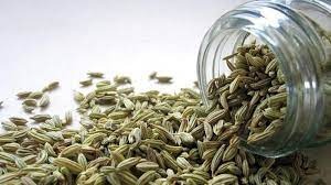 theindiaprint.com fennel seeds are very beneficial and a cure all for stomach issues download 2023 1