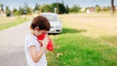 theindiaprint.com if your child starts vomiting while youre driving remember these five things downl