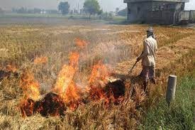 theindiaprint.com incidents of stubble burning in northern india are at a two year high download 202