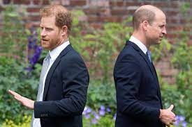 theindiaprint.com a royal author claims that prince william is unable to even recognise prince harry