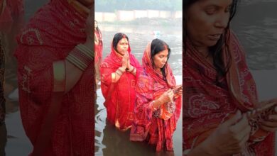 theindiaprint.com delhi for chhath puja devotees stand in knee deep hazardous froth in the yamuna ma