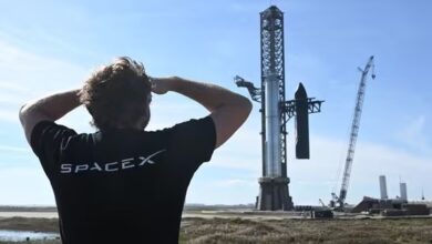 theindiaprint.com musk elon the worlds most powerful rocket from spacex saturdays starship test flig