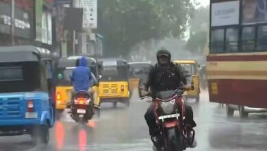 theindiaprint.com parts of tamil nadu see intense rain and the nilgiris district closes its schools