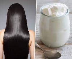 theindiaprint.com refuse to buy chemical items making a hair mask at home can help relieve your scal