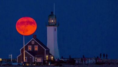 theindiaprint.com a unique timelapse captures the stunning harvest moon in the us town of scituate c