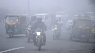 theindiaprint.com delhi visibility is reduced as dense fog envelops the city 216849 0d13d483aae7040c