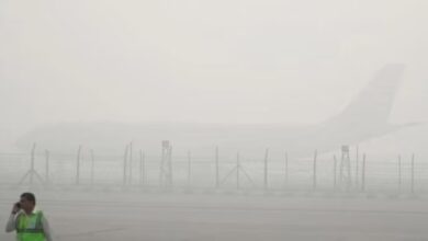 theindiaprint.com dense fog in delhi causes several domestic and international flights to be delayed