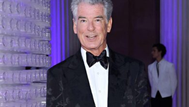 theindiaprint.com james bond actor pierce brosnan was charged for trespassing in yellowstone 639bd82