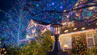 theindiaprint.com viral video crazy christmas lighting draws whole neighborhood to watch house light