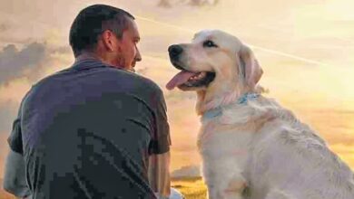 theindiaprint.com make a dog companion to keep healthy newindianexpress 2024 01 b055d3f7 daa0 4965 8