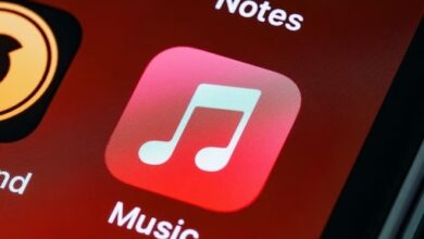 theindiaprint.com should musicians support this feature for their songs apple is willing to pay them