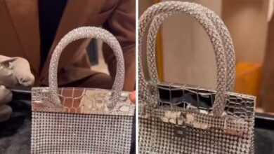 theindiaprint.com the little hermes bag is being deemed a waste of money on the internet untitled de