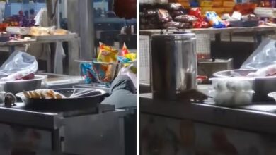 theindiaprint.com unbelievably a viral video shows rats at the irctc stall eating open food untitled