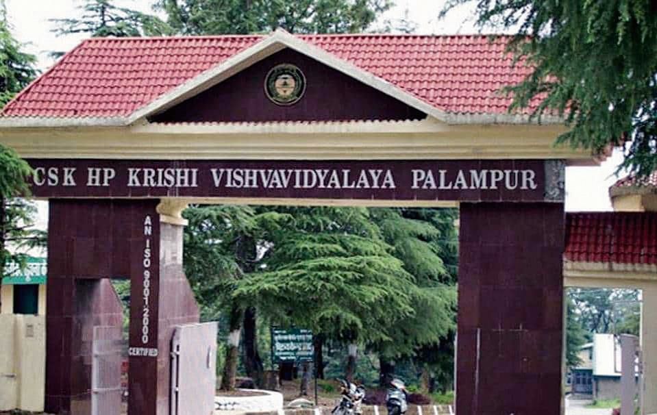 Accreditation in Grade A for five years for Palampur Agriculture University