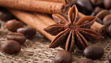 theindiaprint.com discover these 5 advantages of chakra phool the superfood star anise befunky colla
