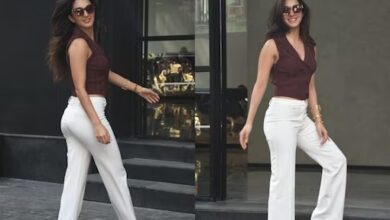 theindiaprint.com don 3 as the video becomes viral kiara advani shows off her sultry roma looks in f