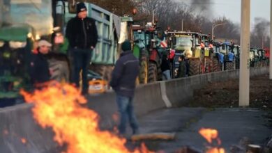 theindiaprint.com dutch farmers protest better pricing ease eu environmental regulations and block h