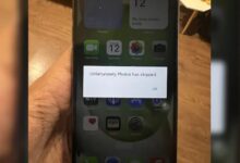 theindiaprint.com man purchases fake iphone 15 on amazon business replies 11zon cropped 54