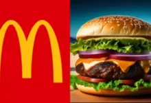 theindiaprint.com mcdonalds declares use only milk based real cheese in response to the maharashtra