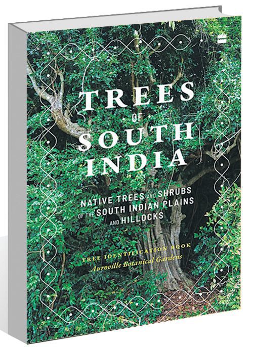 Paul Blanchflower and Marie Demont’s “Trees of South India”: Bringing splendor back to a region on the verge of collapse