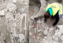 theindiaprint.com skeletons of a mother holding her child found in italy during renovation work unti