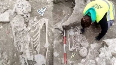 theindiaprint.com skeletons of a mother holding her child found in italy during renovation work unti