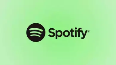 theindiaprint.com the ceo of spotify spoke about the companys record breaking q4 of 2023 107472318