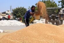 theindiaprint.com the government has set a modest goal to get 30 32 million tons of wheat by 2024202