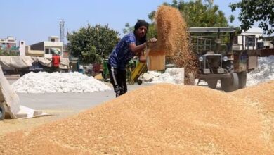 theindiaprint.com the government has set a modest goal to get 30 32 million tons of wheat by 2024202