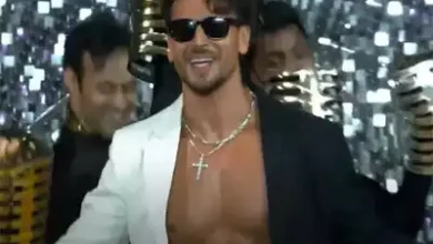 theindiaprint.com tiger shroff delivers a thrilling performance at the opening ceremony of the wpl 2
