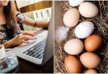 theindiaprint.com twelve eggs for inr 48000 bengaluru woman swindled online while attempting to save