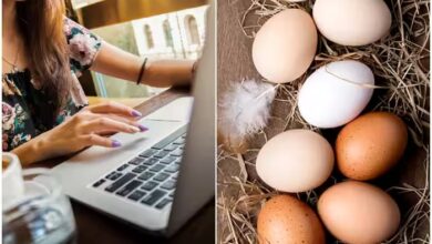 theindiaprint.com twelve eggs for inr 48000 bengaluru woman swindled online while attempting to save