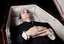 theindiaprint.com an australian man explains why during the funeral he cut off his dead brothers ear