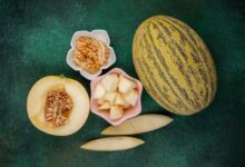 theindiaprint.com can you lose weight with muskmelon seeds six things you should know muskmelon seed