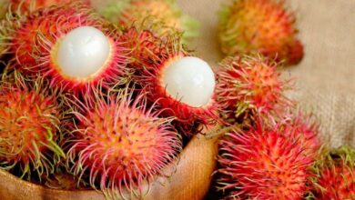theindiaprint.com discover these 5 advantages of the bright red fruit known as rambutan a superfood