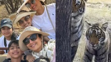 theindiaprint.com during her familys safari trip to ranthambore shilpa shetty saw tigers watch the v