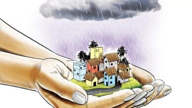 theindiaprint.com keeping the rain at bay lets take care of it tnie import 2021 8 11 original rain5