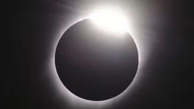 theindiaprint.com nasa requests that observers use this app to share 30 second videos of solar eclip
