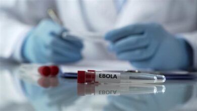 theindiaprint.com researchers discover a possible new therapeutic target to stop ebola 2024 3largeim